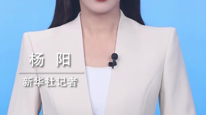 企业网络安全：如何选择可靠的代理加盟公司？**